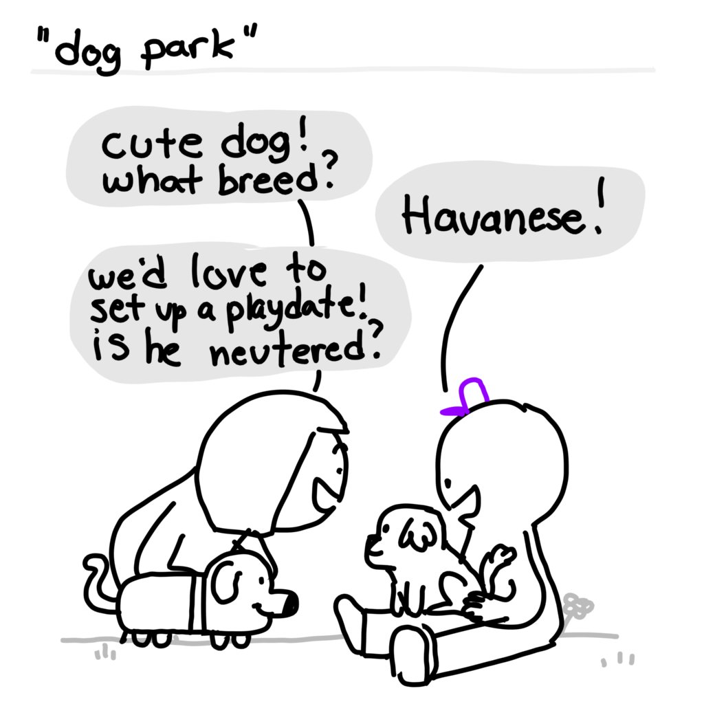 "Dog Park"

(this was for a @StoryMentorship flash challenge) 