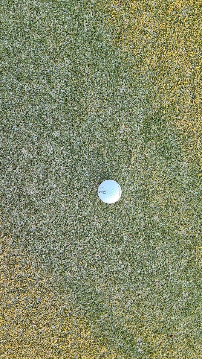turfmonkeyboy's tweet photo. With a gully gusher weekend we did another top dress 4 days after first topdress in 116 days. Today Skins we played on just a roll from yesterday's sand application. My "experience" of smooth &amp; true was better than the #GS3 numbers much like my the pros  said. 17 birds &amp; 1 eagle. https://t.co/y8TOzJHO2o