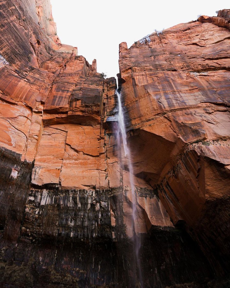 ForeverZion's tweet photo. Raindrops on red rocks. 🌧️ 🧡 ✨
We are enjoying nature's delicate dance in Zion National Park. 
PC:@roberthelling.media 📸 @zionponderosa 🤩 

#ZionNationalPark #SaveWhatYouLove #RainyZion #MightyFive #ZionNPS #NPS #Utah #UT #ZionUtah https://t.co/VFshntI9e9