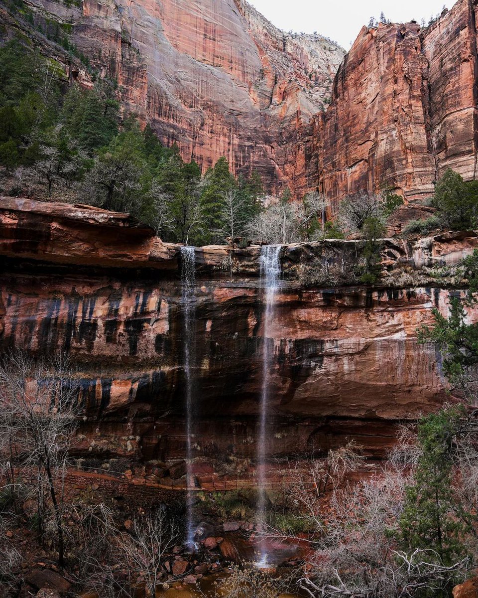 ForeverZion's tweet photo. Raindrops on red rocks. 🌧️ 🧡 ✨
We are enjoying nature's delicate dance in Zion National Park. 
PC:@roberthelling.media 📸 @zionponderosa 🤩 

#ZionNationalPark #SaveWhatYouLove #RainyZion #MightyFive #ZionNPS #NPS #Utah #UT #ZionUtah https://t.co/VFshntI9e9