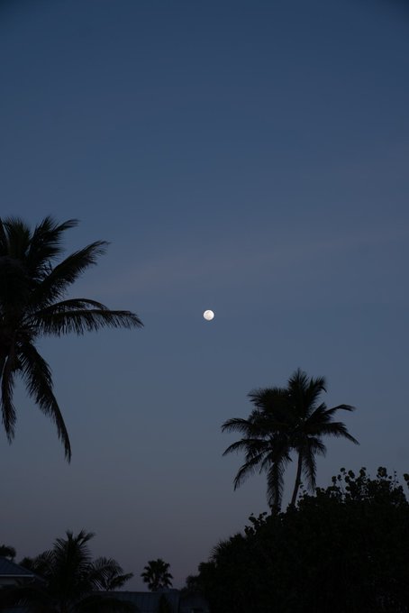 el sol, el mar, la Luna y yo. https://t.co/HW7PCBQi6c