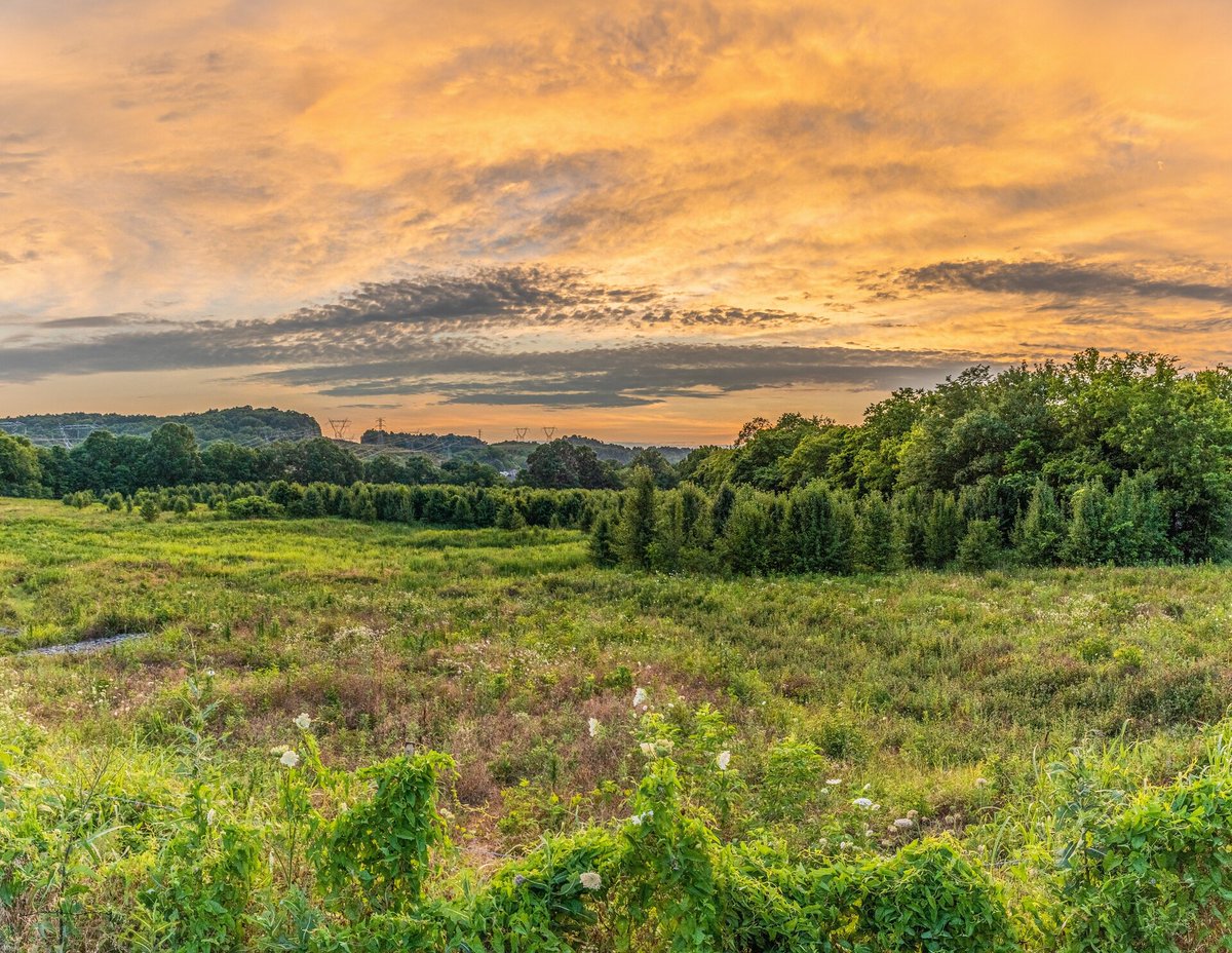 TennCLEANAct's tweet photo. Tennessee is full of incredible outdoor spaces like this. Learn how we can keep them like this at https://t.co/x56nZ0pYuz 

📷 Charlie Curry https://t.co/PX8melYmCL