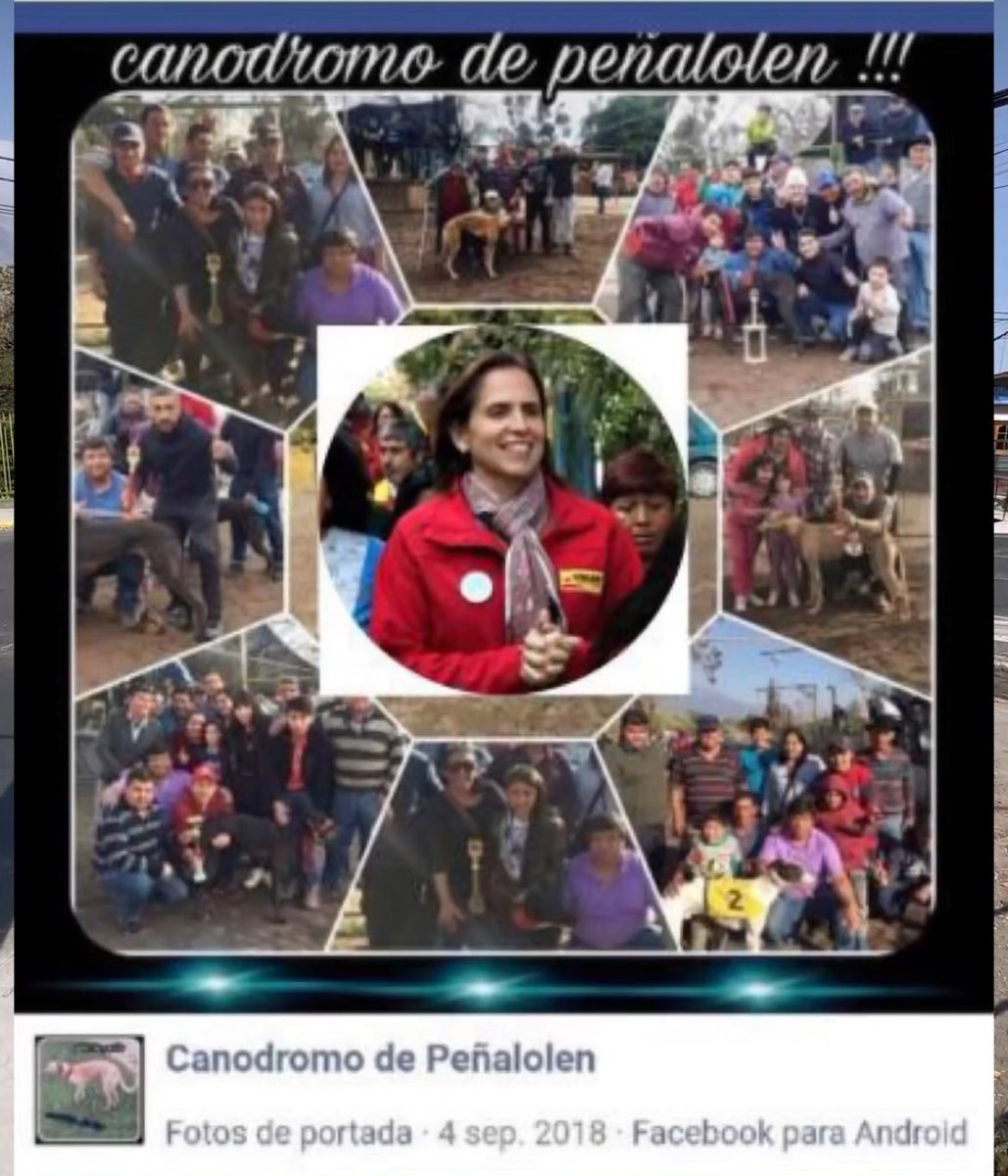 ChaSquEada's tweet image. Ayer fue la alcaldesa de #Molina hoy le corresponde a @CarolinaLeitao de #Peñalolen aclarar su postura frente al maltrato animal y canodromos con apuestas ilegales, fundaciones animalistas han tratado en vano de contactarla, No compres el #Permisodecirculacion en #Peñalolen
