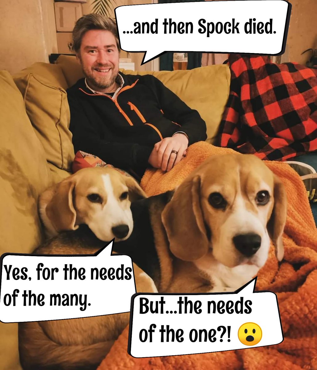 We're watching Star Trek movies - going into number three

#familypack #movienight #startrek #spock #needsofthemany #Beagles #sofasnuggles