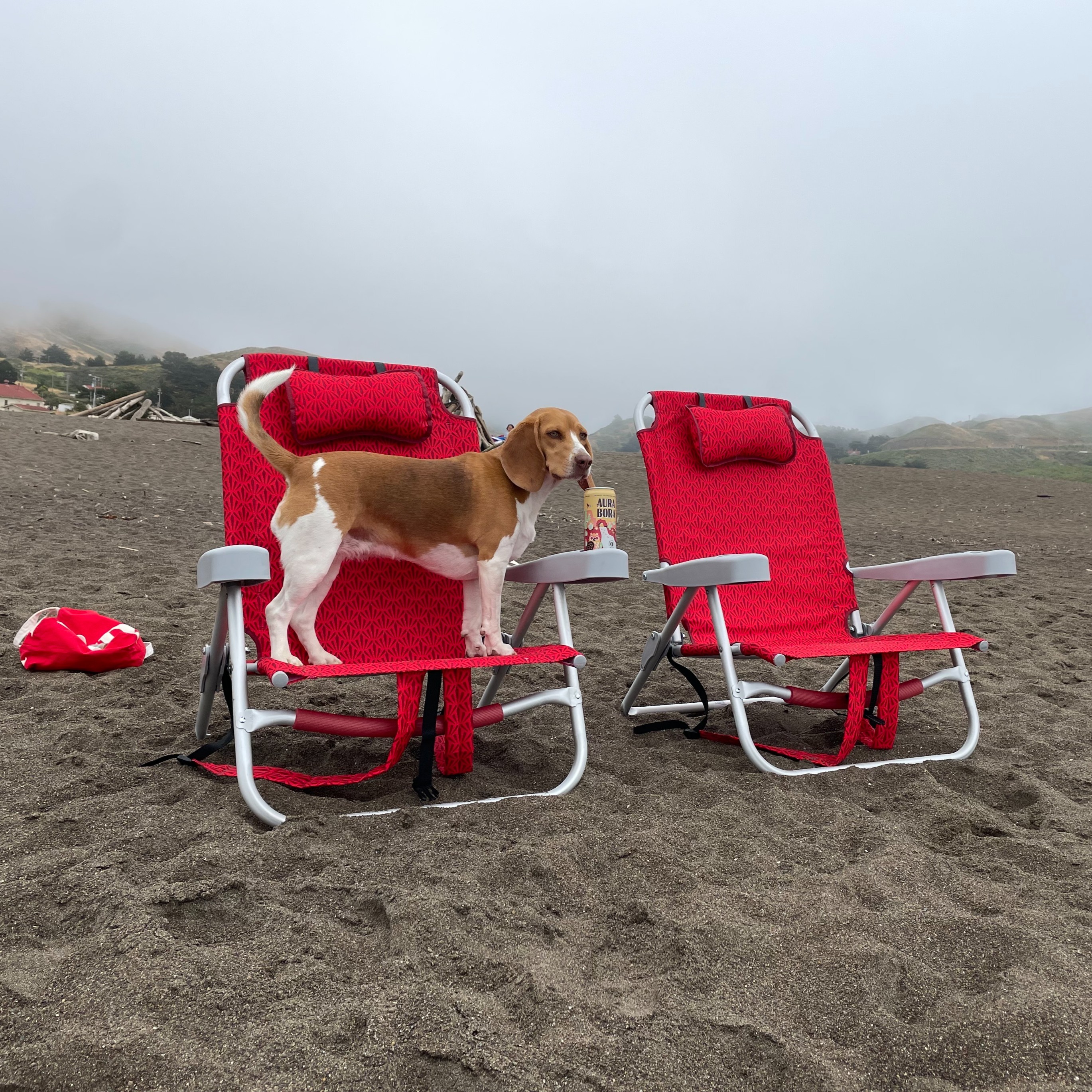 Shelterlogic beach chair new arrivals
