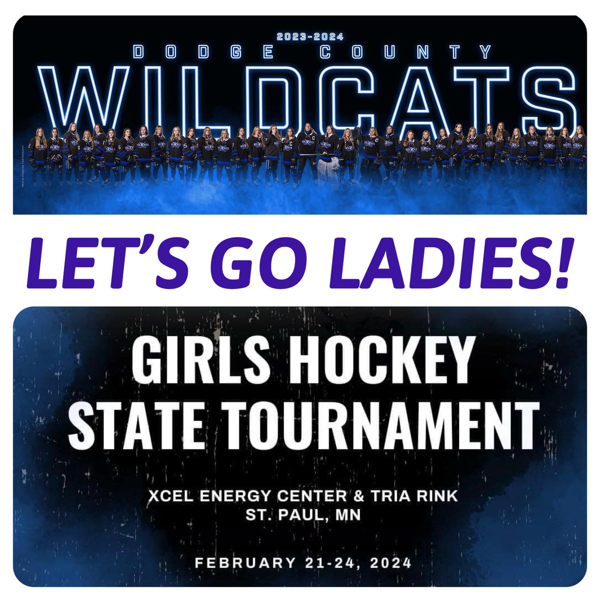 DCWHockey's tweet photo. Cheering on our Wildcat ladies at State! https://t.co/9G99A9ULjh