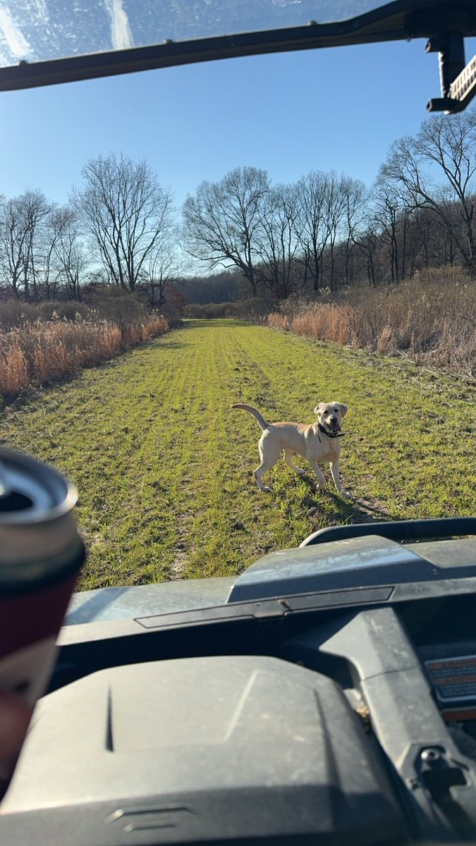 Afternoon shed hunt. Sheds found: 0. <a href="/BuschBeer/">Busch Beer</a> Latte’s drank: 4