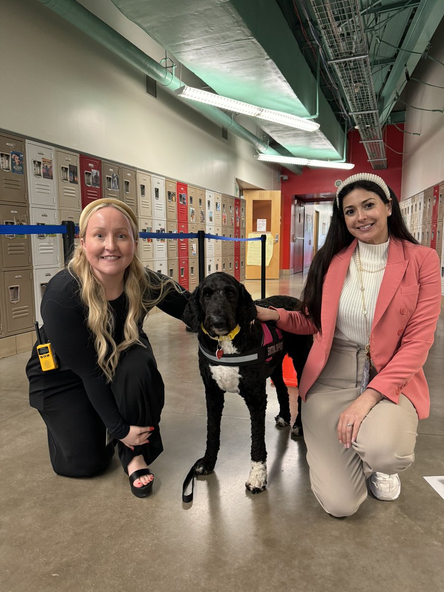 AnzuresZulma's tweet photo. Guess who came to visit us? Justice!๐ถ Such a wonderful time spending the afternoon with him. #SupportAnimal @HISDPAWS #FurryFriends @chelsealvenegas https://t.co/R978phJrJx
