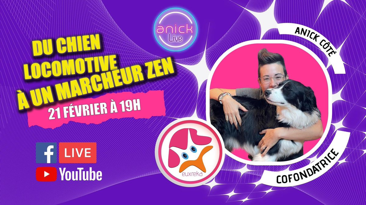 Tu t’es déjà demandé #pourquoi ton chien se transforme en #chien de traîneau dès que tu mets un pied dehors ? 🐕‍🦺💨 Tu en as assez de jouer au tire à la corde à chaque #promenade ? 
facebook.com/share/wJ4UUitV…