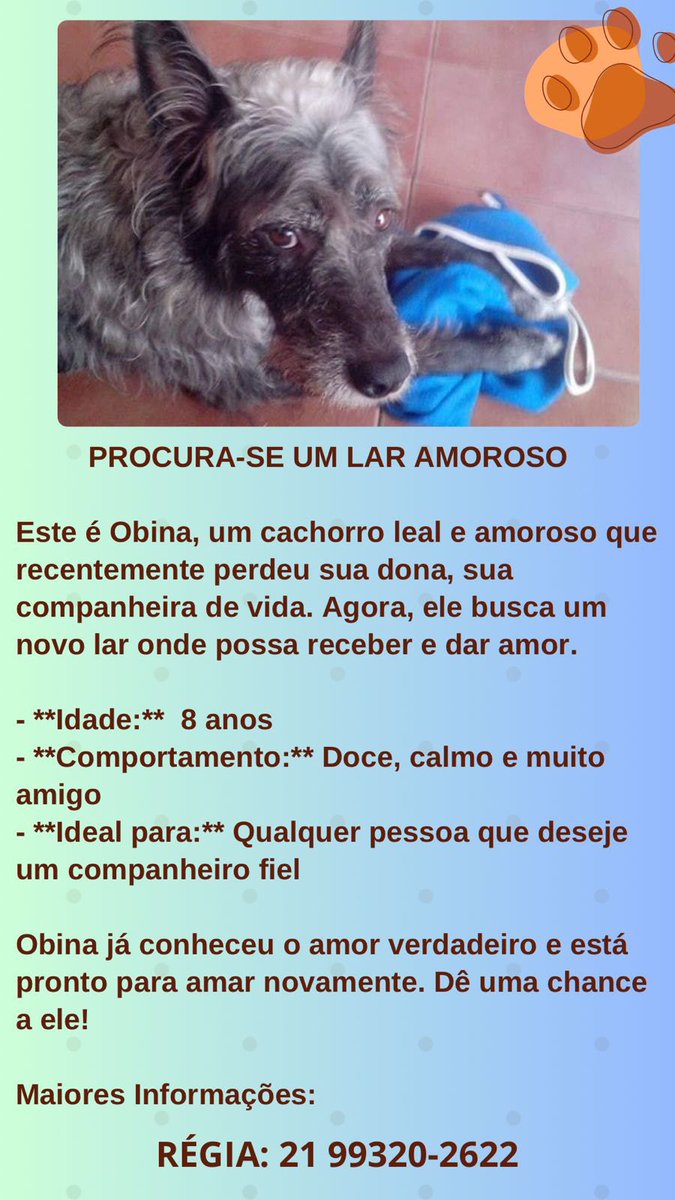 Rio de Janeiro - esse é o Obina! a tutora dele faleceu na última quarta-feira de cinzas, e ele precisa de alguém para amar incondicionalmente: