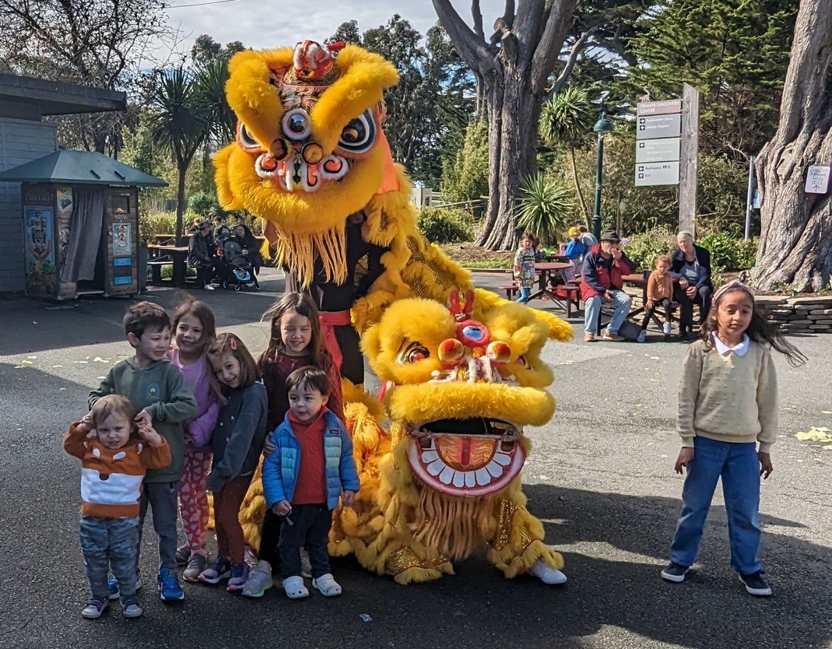 This year, San Francisco Zoo & Gardens partnered with Chung Ngai Dance Troupe and Flying Angels Chinese Dance Company for an exciting Lunar New Year event! Check out some of the fun. #SFZoo