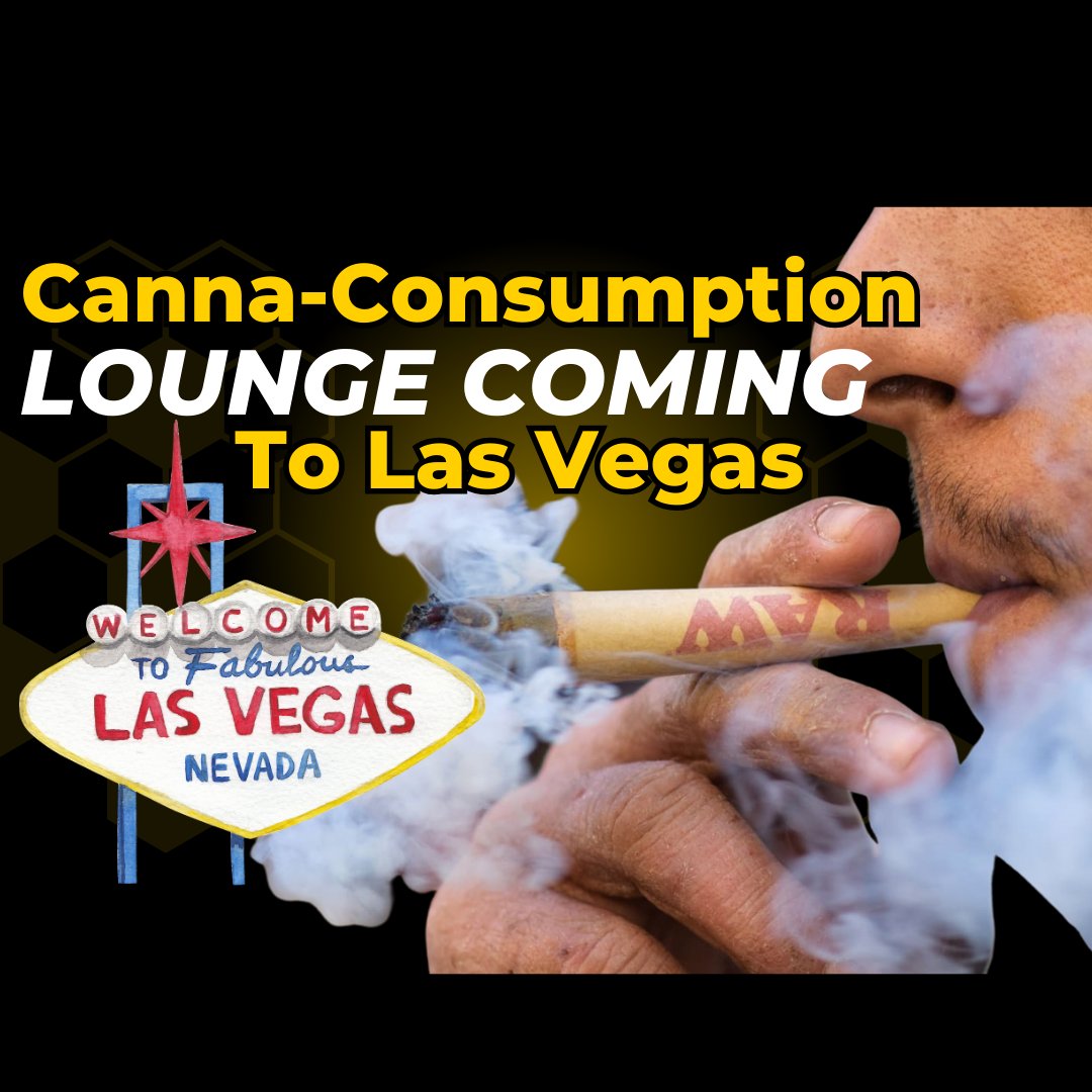 Nevada set to open its first cannabis consumption lounge, offering a new social experience for enthusiasts. 🌿💨 #CannabisLounge #NevadaCannabis #SocialExperience