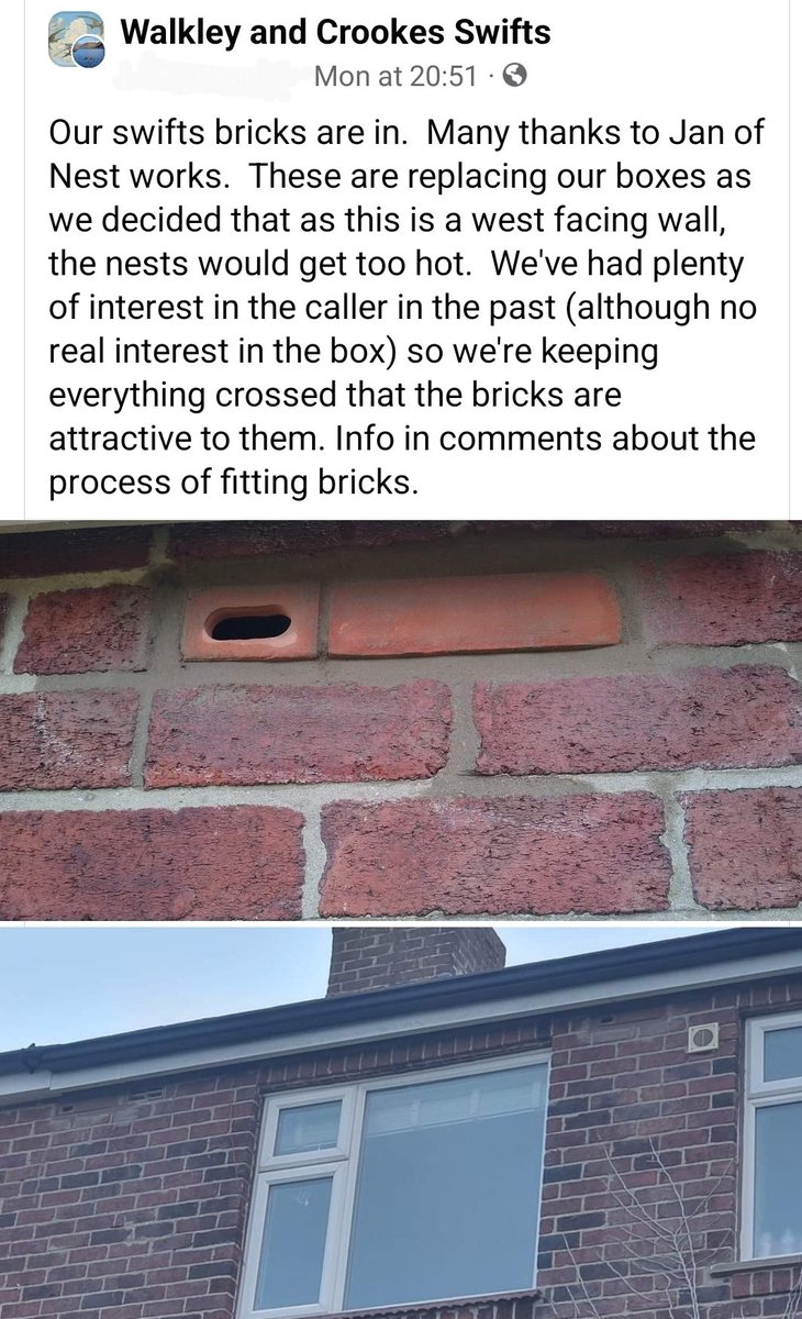 More Swift bricks retrofitted in Sheffield.
There's still time to get yours in before swifts return in May.
Only £45 a pop.
Fit them yourself or Jan can fit them for you. Info on website
sheffieldswiftnetwork.org/how-to-buy-and…

... don't forget the swift caller
sheffieldswiftnetwork.org/how-to-attract…