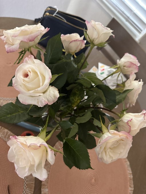 3 things that make me happy 😃  what makes you happy? #Tuesday #pups #icecream #FLOWERS https://t.co/<a href="/tag/icecream"class="tags"><span>#icecream</span></a><a href="/tag/flowers"class="tags"><span>#flowers</span></a><a href="/tag/tuesday"class="tags"><span>#tuesday</span></a><a href="/tag/pups"class="tags"><span>#pups</span></a>