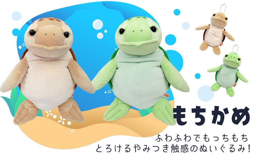 もちかめ】🐢 優しいお顔にもちもちボディはたまりません！ 甲羅も