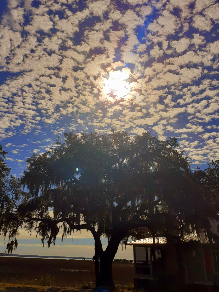 A little South Carolina magic. Ever been here? #traveling #travel #writing #WritingCommunity