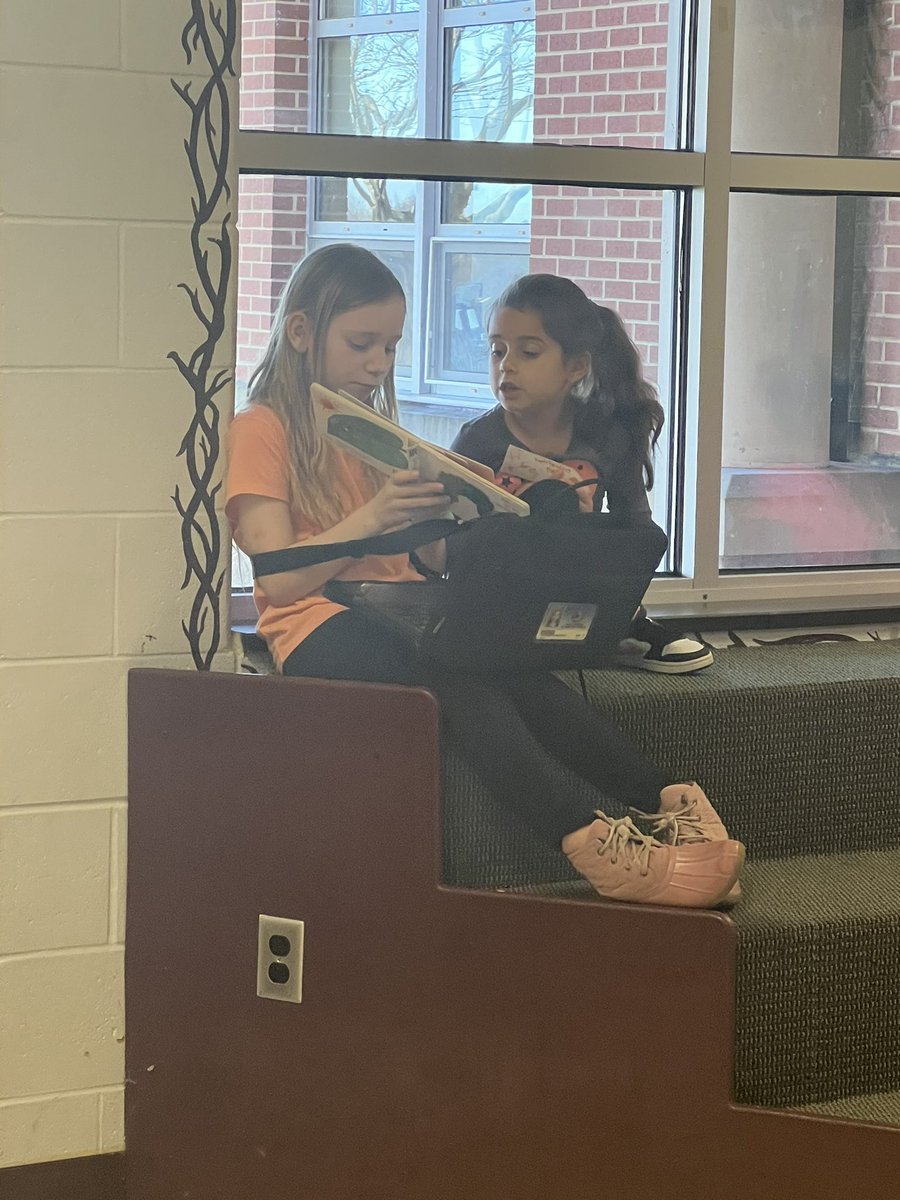 Michele Showalter tweet media