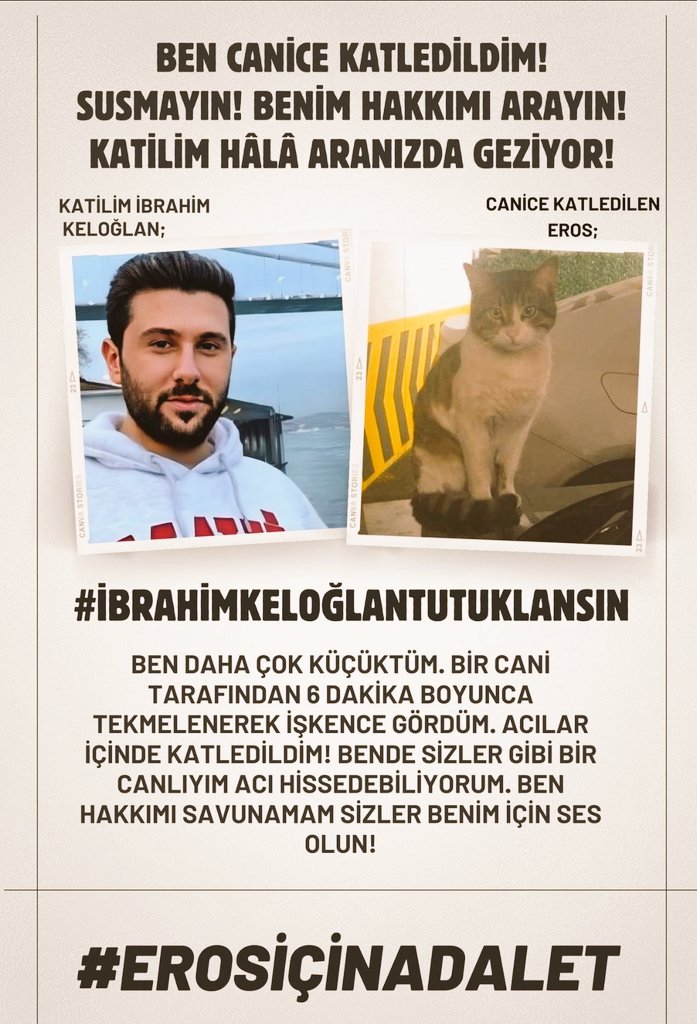 fevrisosyologg's tweet photo. Katil İbrahim Keloğlan için yeniden yargılama kararı çıktı ama yetmez. 

Mahkemeden öyle bir karar çıkmalı ki gelecek davalar için de emsal olmalı. Kimse bir hayvana eziyet etmeyi, öldürmeyi aklının ucundan bile geçiremesin diye. 

#ibrahimkeloğlantutuklansın https://t.co/e9JT3cwDPU