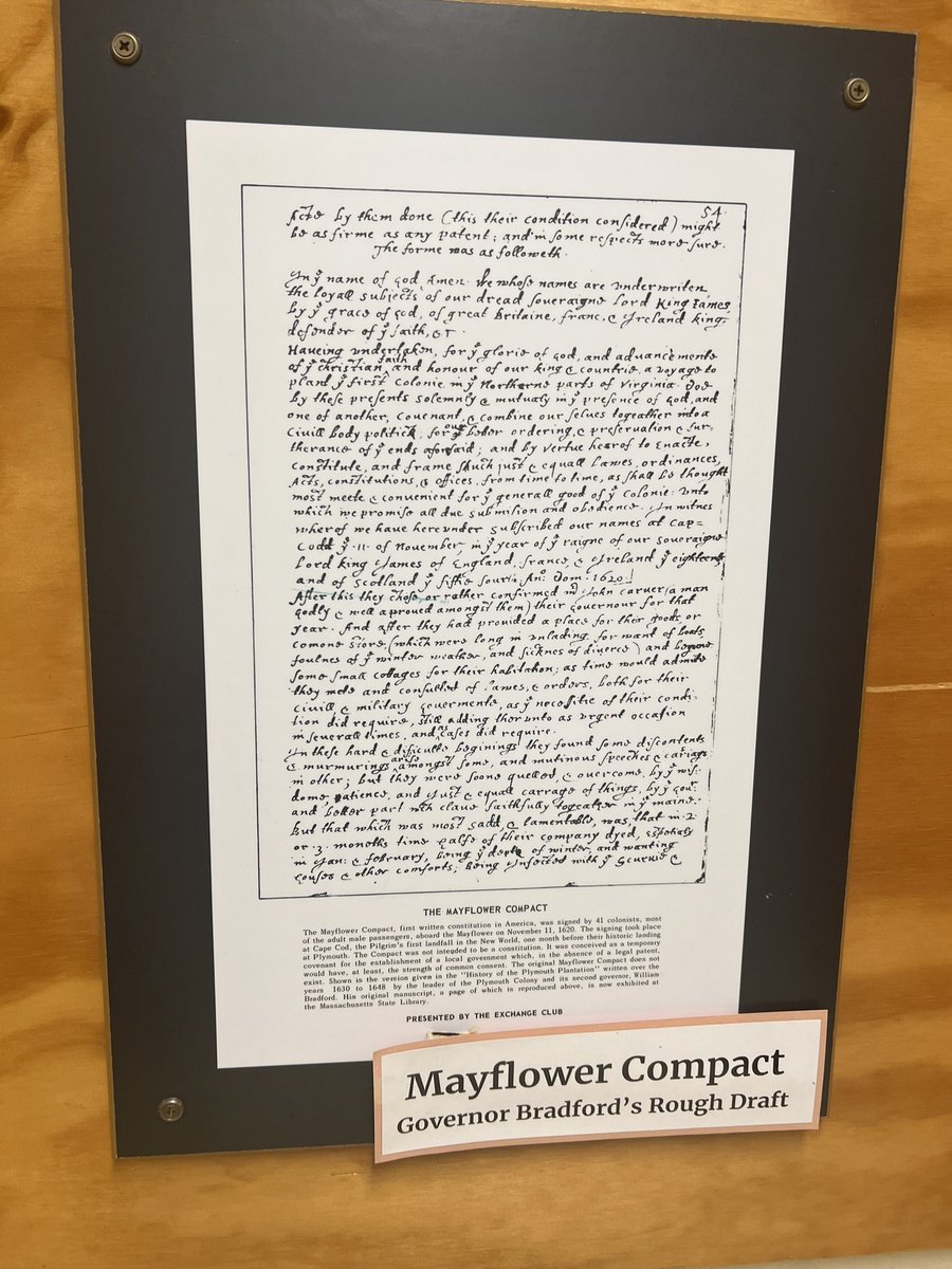 Michele Showalter tweet media