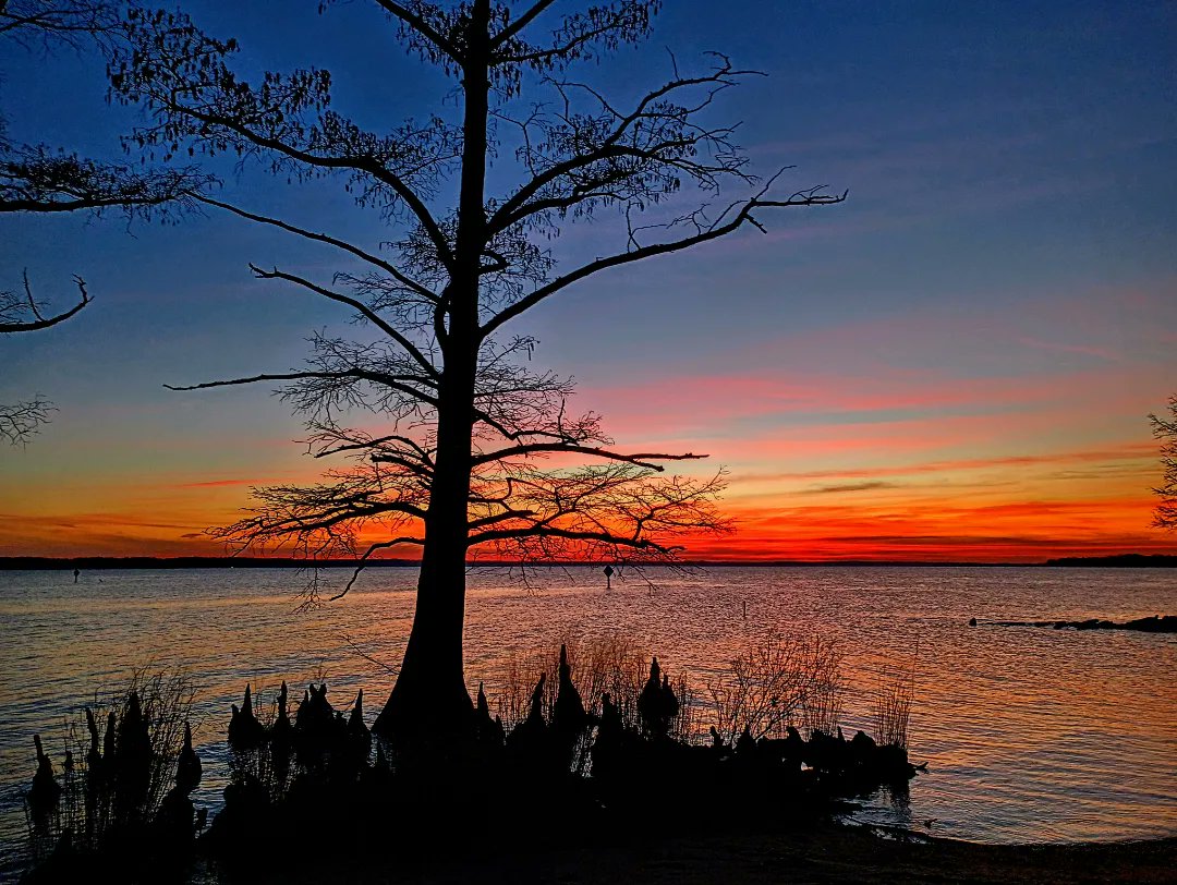 blazing2phoenix's tweet photo. #sunset #nature #photography #sky #travel #photooftheday #landscape #love #sunsetphotography #naturephotography #ig #beach #sun #instagood #summer #sunrise #beautiful #sea #picoftheday #clouds #photo #travelphotography #sunsetlovers #sunsets #instagram #landscapephotography #art https://t.co/ukrjmCICEN