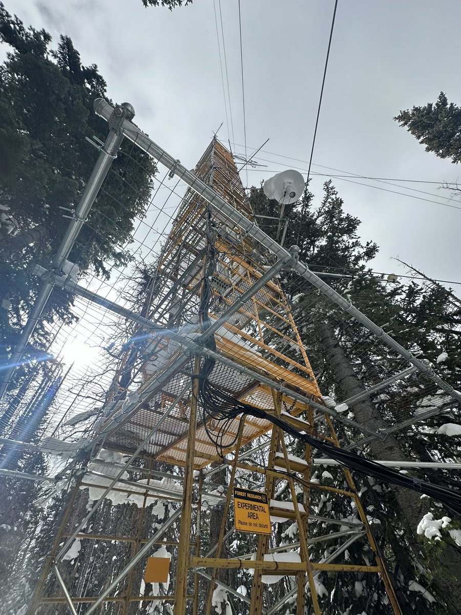 jaaronhogan's tweet photo. Hit the GLEES (Glacier Lakes ecosystems experiment site) today with George Valentine to get out of the office. @usfs_rmrs GLEES is a #NADP, #CASNET, & @AmeriFlux site. https://t.co/qi2cQsmduG