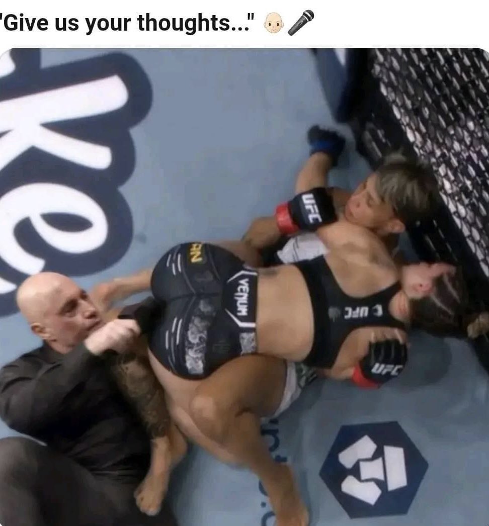 MrTestoestrogen tweet media