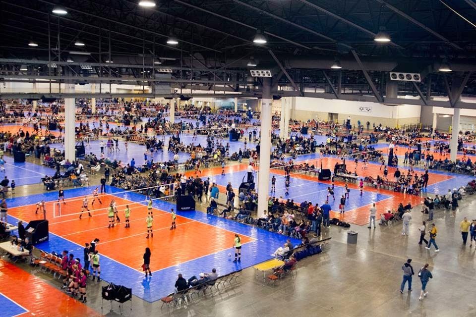 Volley Engine tweet media