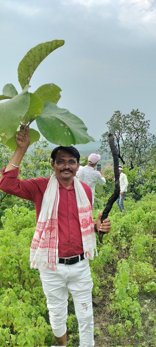 जिस समाज की युवा पीढ़ी सही निर्देशन में बुलंद इरादे के साथ आगे बढ़ती है, वह समाज सफल होता हैं
जल जंगल जमीन हमारा है
Follow <a href="/RAMESHKHARADI18/">RAMESH KHARADI</a>
#आदिवासियों_की_जमीन_बचाओ