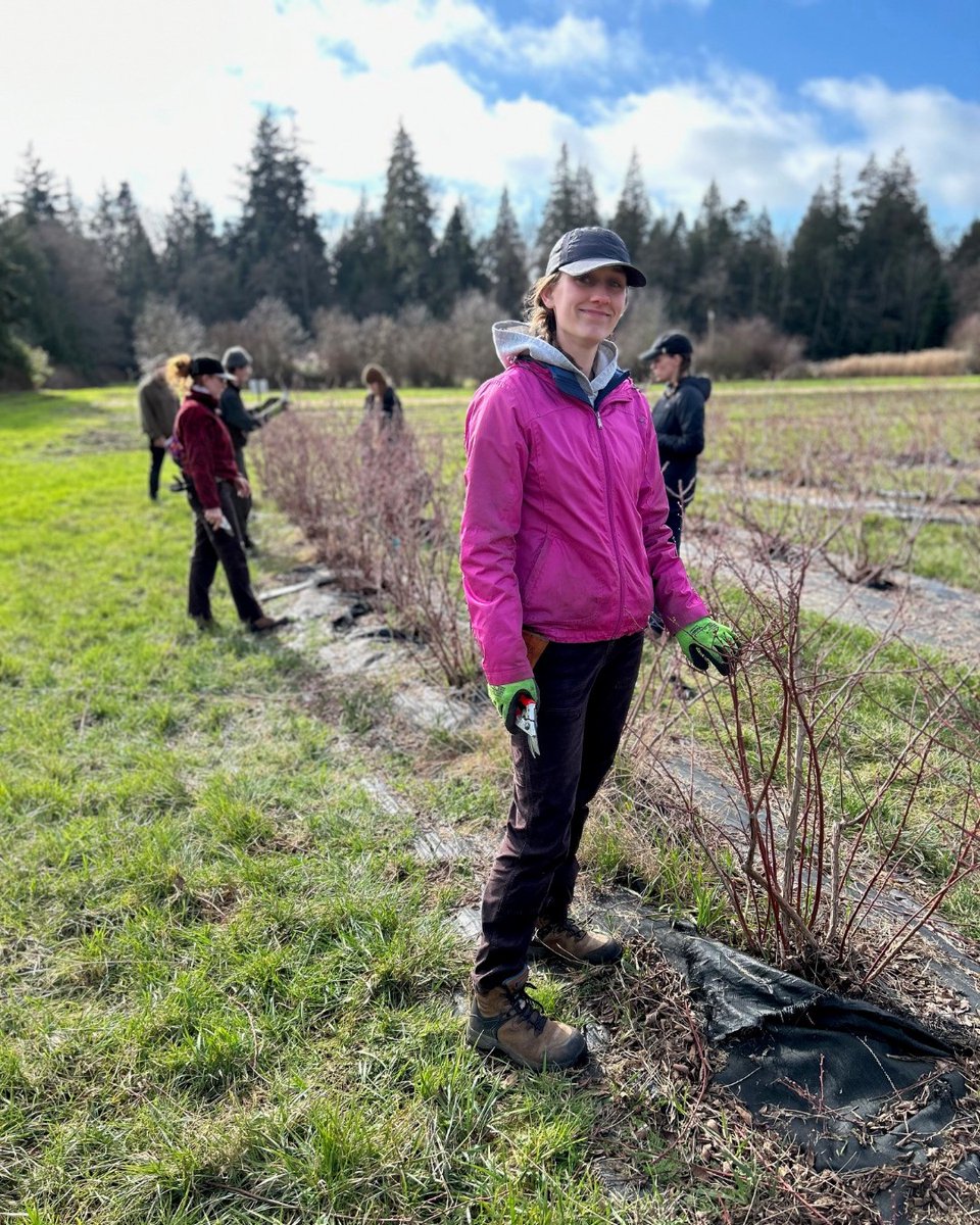 All smiles on a typical (and beautiful!) day of the Horticulture Training Program. Our students have been going up to UBC Farm every February for many years to prune their blueberry shrubs. Horticulture Training Program information: ow.ly/oAuF50Qsmmk
