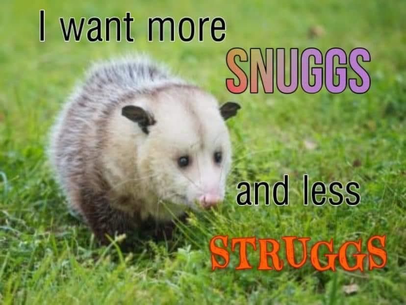 Snaggletooth Screamer (@deathposs) on Twitter photo 