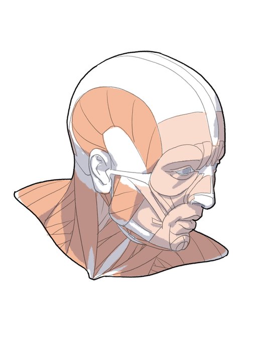 「bald portrait」 illustration images(Latest)