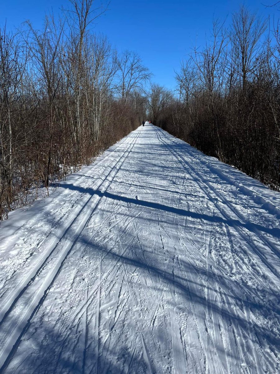 Recent cold temps and the gift of more snow lately has resulted in excellent trail conditions. Only a very few places showing hints of grass now.  As it appears we're already in very good shape we only refreshed  the skate lanes on the TCT, Treatment and Christmas loops today