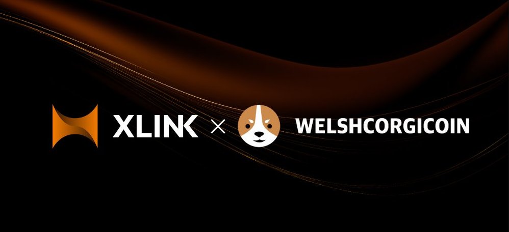 Welsh_Community's tweet photo. Thanks to the brilliant work of @ALEXLabBTC and @XLinkbtc , you can now bridge your $Welsh Tokens into BRC20 and vice versa.
This is a great achievement for Welsh and it's destiny as the first Bitcoin memecoin. https://t.co/2lqTDFQiCy