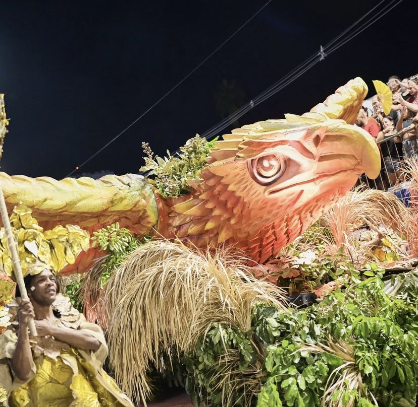 barrracao's tweet photo. Tradição é a escola campeã da Série Prata e retorna à Série Ouro depois de 10 anos. Neste carnaval, a agremiação apresentou o enredo “Trono negro”. https://t.co/WfpWIHM30c