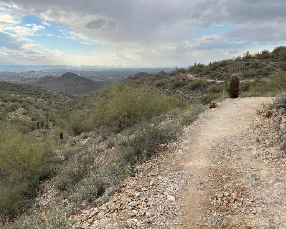 Experience Fountain Hills tweet media