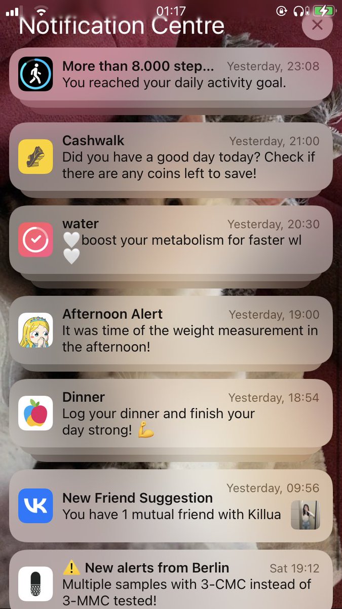 are my notifis looking disordered?💔💔😔