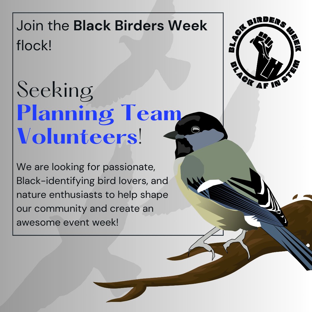 We're accepting applications for the #BlackBirdersWeek Planning Team Volunteers!