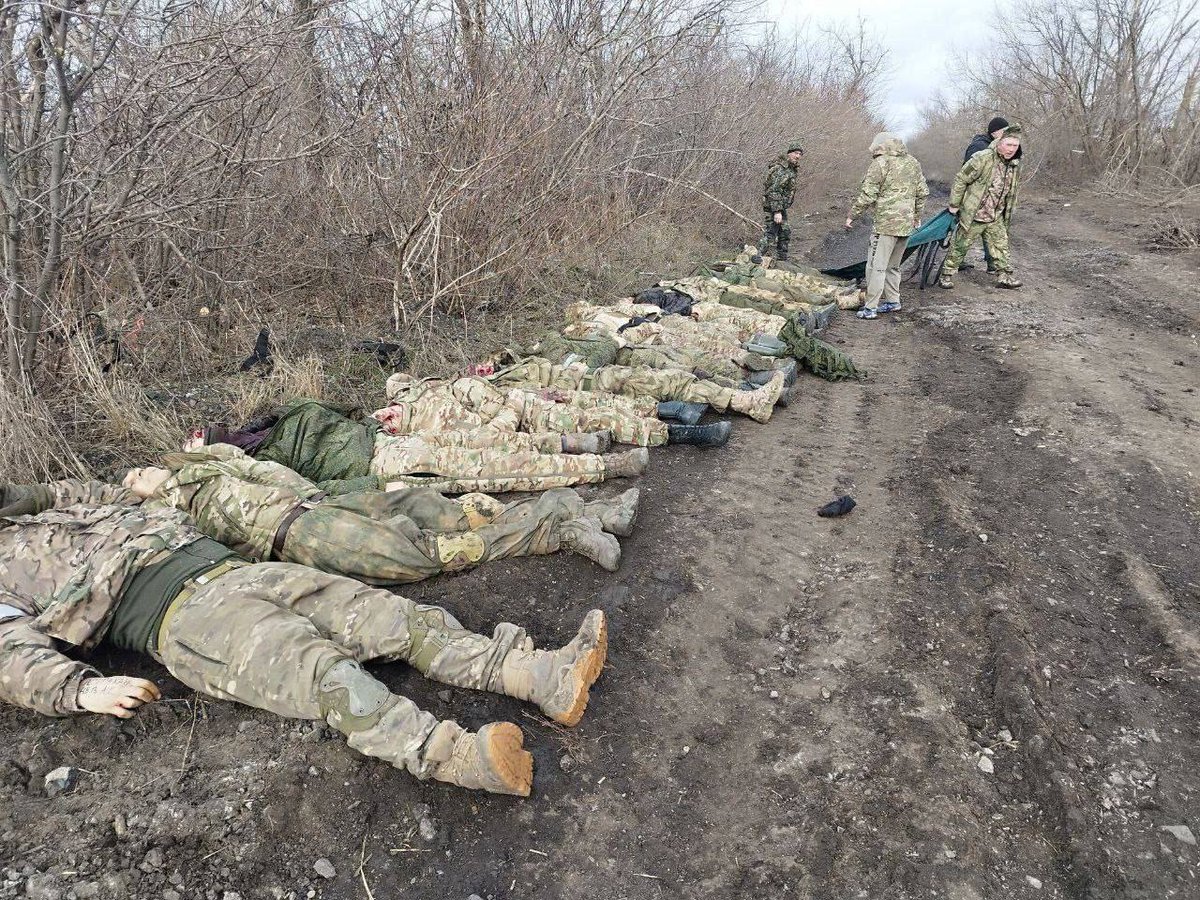 oorlog_monitor's tweet photo. Een Russische groep soldaten in Trudovske is door middel van HIMARS uitgeschakeld. Volgens Oekraïne zijn bij de aanval 65 Russische militairen gedood. Ik ga ze niet tellen, maar op de beelden zijn het er behoorlijk veel. Grafische waarschuwing ☠️ https://t.co/Kga5HTMK68