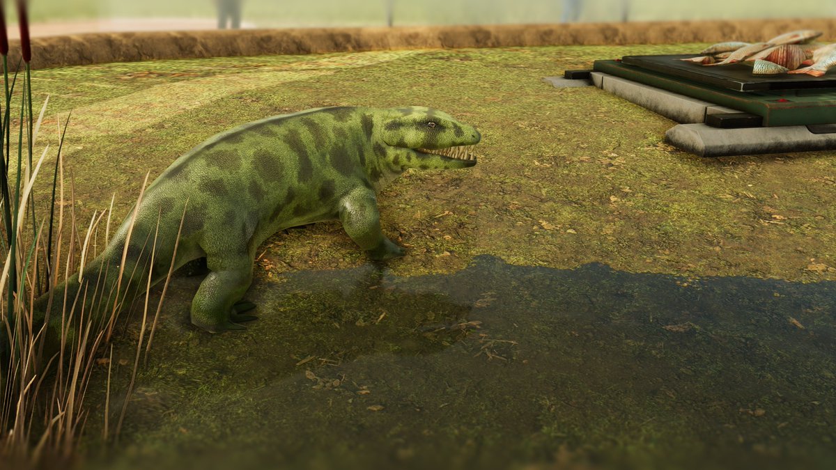 Lucca2951's tweet photo. Starting off the Ancient Amphibians reveals with the Anthracosaurus! 🦎

Known for its robust skull and huge teeth, Anthracosaurus and its group, the embolomeres, were the most successful predators of the Carboniferous. 
#JurassicWorldEvolution2 #JurassicPark #Anthracosaurus https://t.co/6Z9nA4ipr5