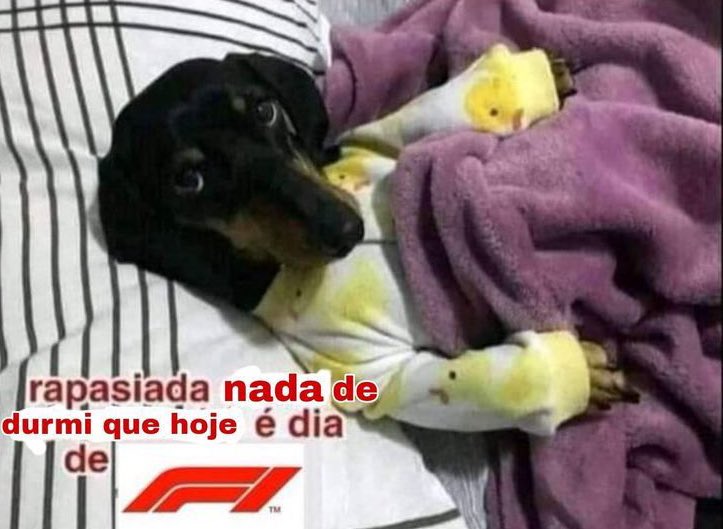 hayzoca's tweet photo. QUE SENSAÇÃO MARAVILHOSA VOLTAR A USAR ESSE MEME https://t.co/2btXss6fti