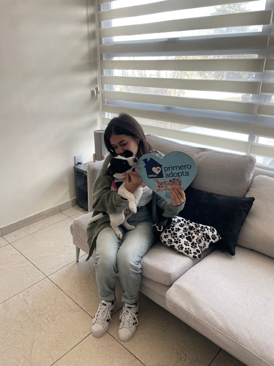 TeamScuderiaAC's tweet photo. 💞DONA ADOPTADA🐶
Gracias por escogerla y brindarle un hogar. 
#scuderiahuellitasac
#CambiandoVidas1Huellitaalavez
#AdoptaNoCompres https://t.co/QQvywZnl0q
