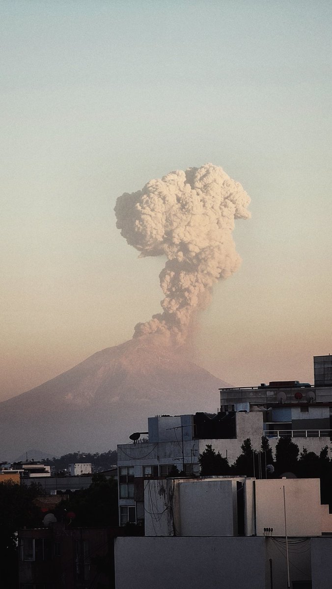 Javier Arvide tweet media