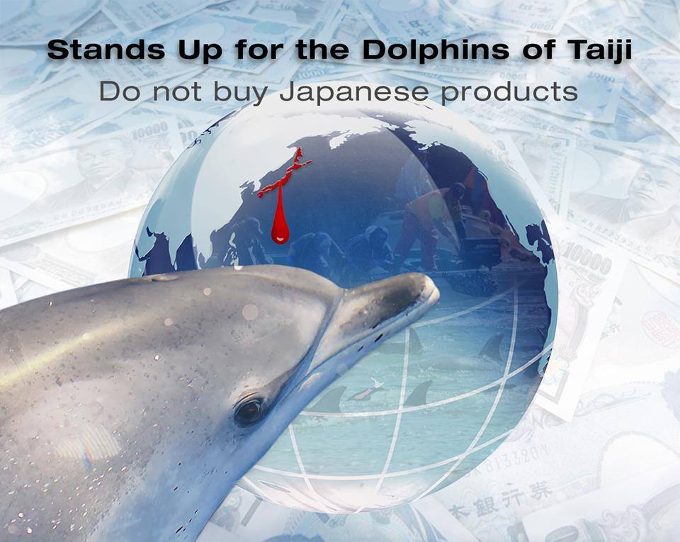 No dolphins found today by Japans dolphins killers #extinction