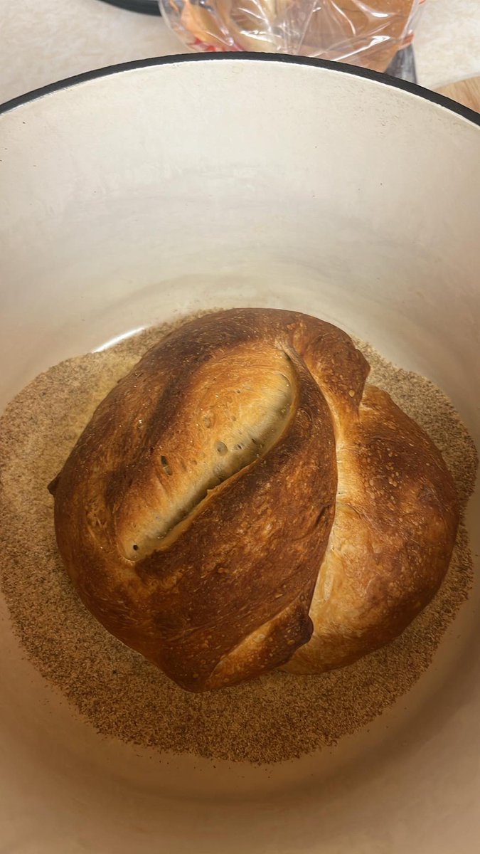 Jill 💫 tweet media