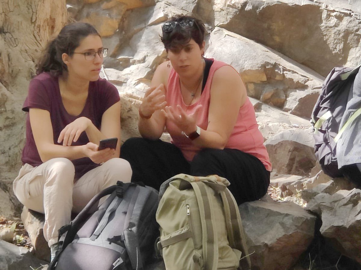 Wildlife Institute of India tweet media