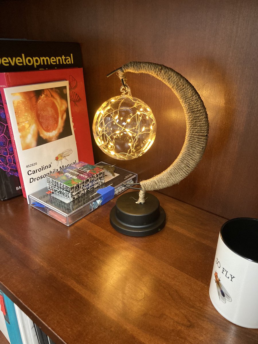 Added some mood lighting to my office to facilitate cozy grant writing 😂