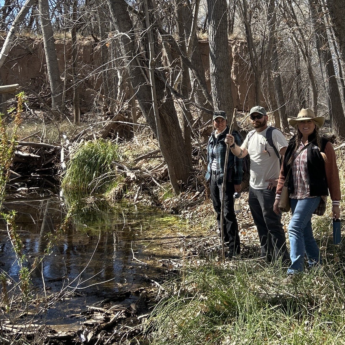 LauraxWasHere's tweet photo. Great day scouting with @BLMArizona, who is planning #BDAs 🦫🙌 #NIDS and @USGS_WGSC, who is taking soil samples quantifying Carbon storage over time🦫🤠 with @lal_rattan #drylands #aridland #waterharvesting #wetland #cienegas https://t.co/nxQ7ZBDirm