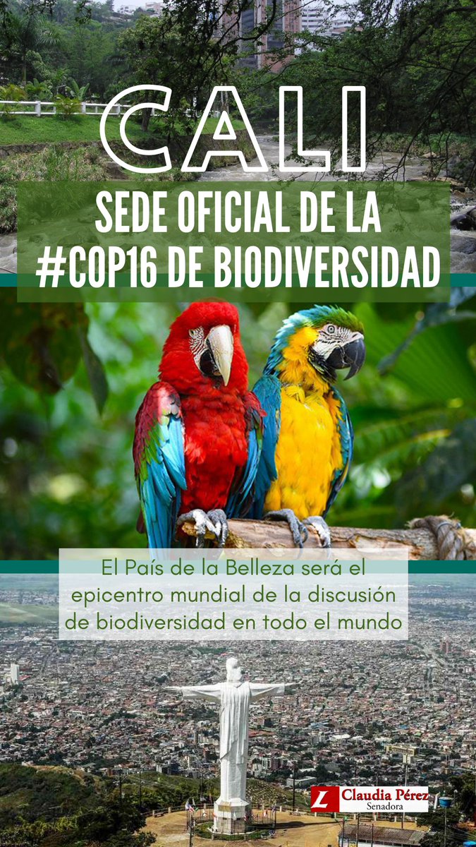 Felicidades a Cali, que fue escogida como sede de la Cumbre Mundial de Biodiversidad #COP16 La región más biodiversa de Colombia, el Pacífico colombiano, recibirá a más de 200 delegaciones del mundo. ¡Este es un triunfo de todos los colombianos! 👏🏻🇨🇴