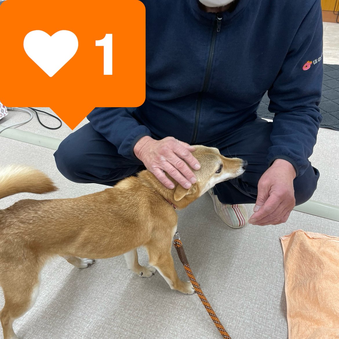 d0LUd93CUFEIYGE's tweet photo. こんにちは、ほのぼの介護の鈴木です。
今回はOnlyわんのご紹介！
ご家族の一員のわんちゃん、猫ちゃんのお世話をさせて頂くのがOnlyわんです。最近はお年寄りの癒し、お子様の情操教育にもなるとのお話しも多く聞かれています。
お気軽にご相談ください。
☏0223763481

https://t.co/t8laYYcmIu https://t.co/sf5QY2S7jI