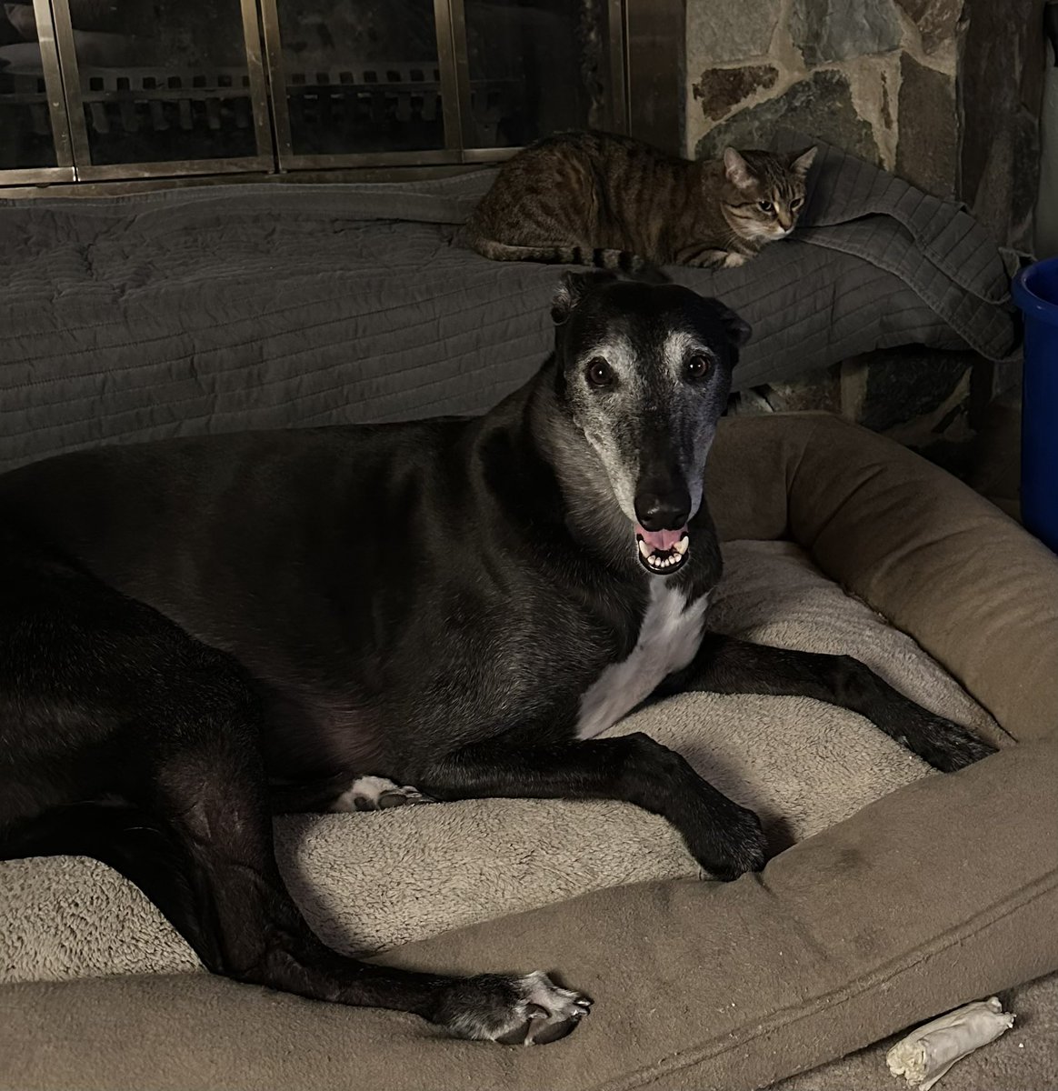 Laura VanDeKop tweet media